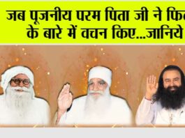 dera sacha sauda
