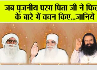 dera sacha sauda