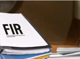 fir