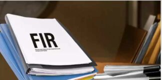 fir