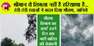 haryana Rain