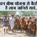 Pashudhan Bima Yojana
