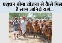 Pashudhan Bima Yojana