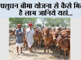 Pashudhan Bima Yojana
