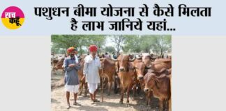 Pashudhan Bima Yojana
