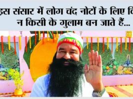 saint dr msg