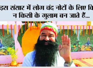saint dr msg