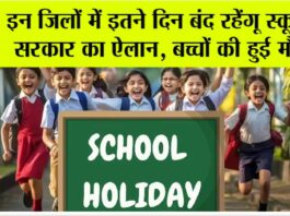 school holiday News