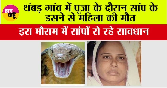 snake