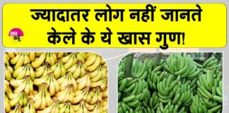 Banana Benefits