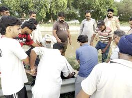 Bathinda News