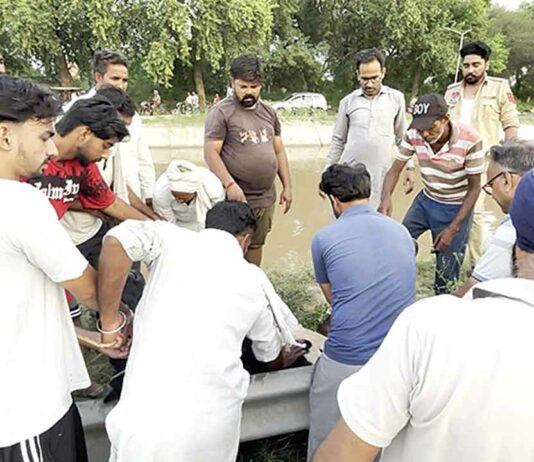 Bathinda News