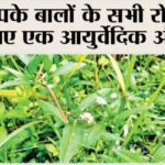 Benefits of Bhringraj oil for hair