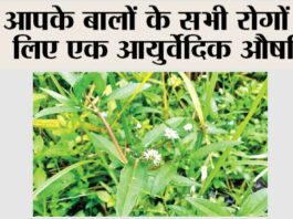 Benefits of Bhringraj oil for hair