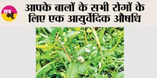Benefits of Bhringraj oil for hair