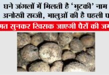 Bhutki Sabzi