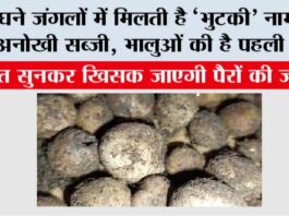 Bhutki Sabzi