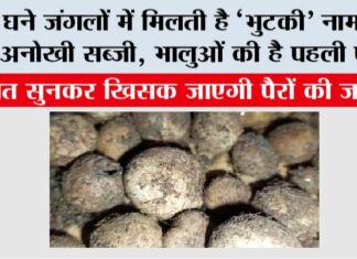 Bhutki Sabzi