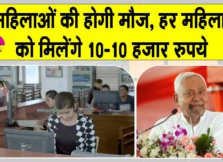 Bihar Mukhyamantri Mahila Rojgar Yojana