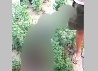सर में गोली मारकर युवक की हत्या, खेत में लहुलुहान अवस्था में मिला शव Bulandshahr News
