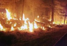 California wildfire news