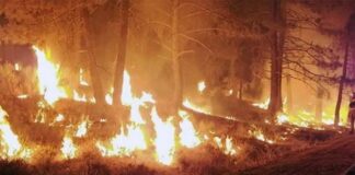 California wildfire news