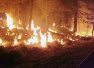 California wildfire news