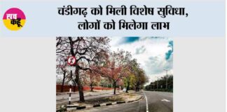 Chandigarh:
