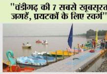 Chandigarh News