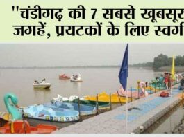Chandigarh News