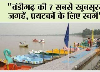 Chandigarh News