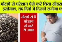 Chia Seeds for weight loss