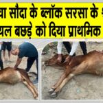 Sirsa News