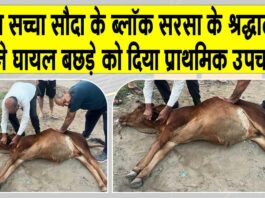 Sirsa News