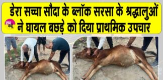 Sirsa News