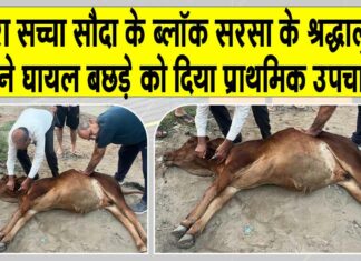 Sirsa News
