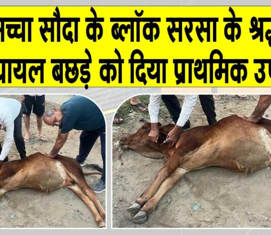 Sirsa News