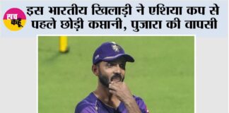 Cricket News