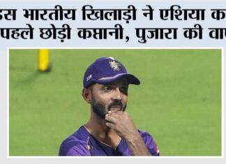 Cricket News