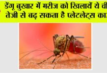 Dengue Diet Tips
