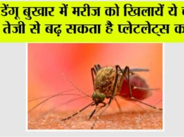 Dengue Diet Tips