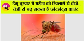 Dengue Diet Tips