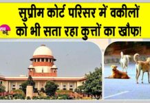 Supreme court news