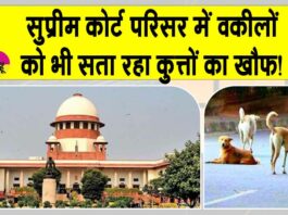 Supreme court news