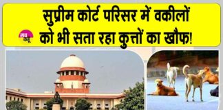 Supreme court news