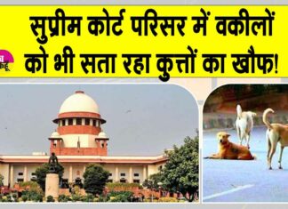 Supreme court news