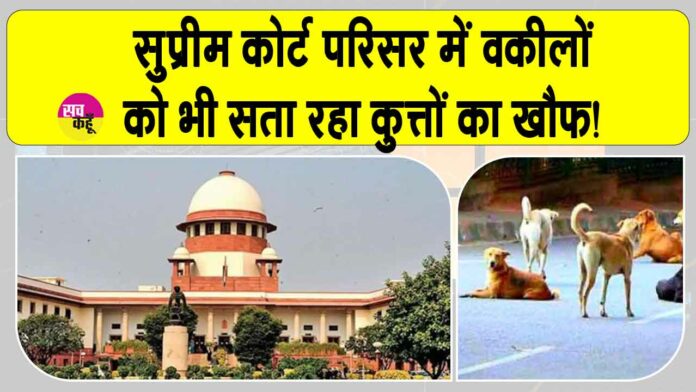Supreme court news