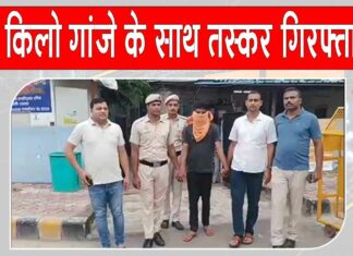 दिल्ली पुलिस ने 30.595 किलो गांजा सहित ड्रग पैडलर को किया गिरफ्तार Delhi Police arrested