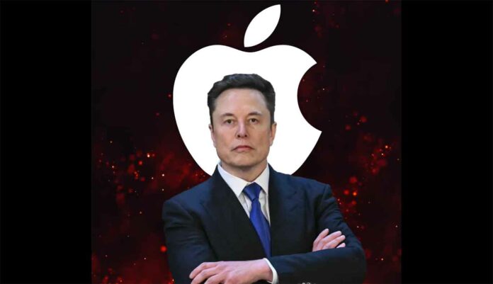 Elon Musk News