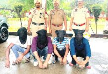 Faridkot News